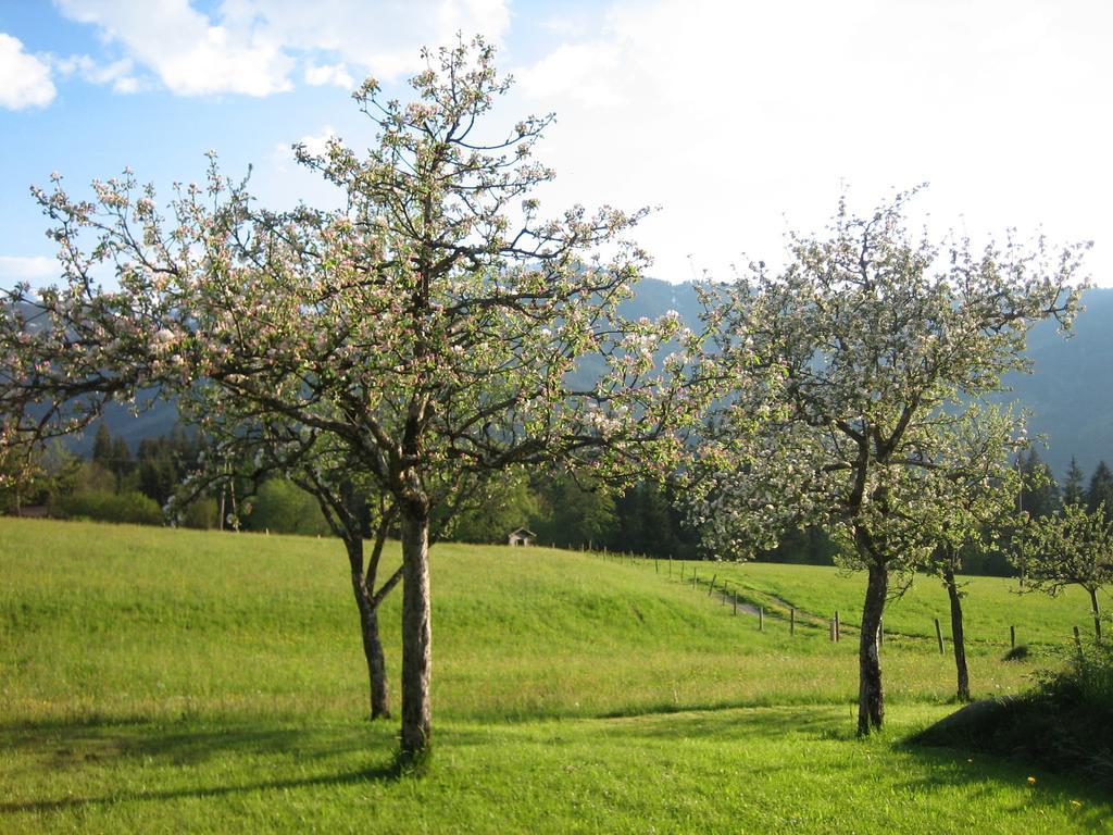 Pension Laerchenbrunn Westendorf Bilik gambar