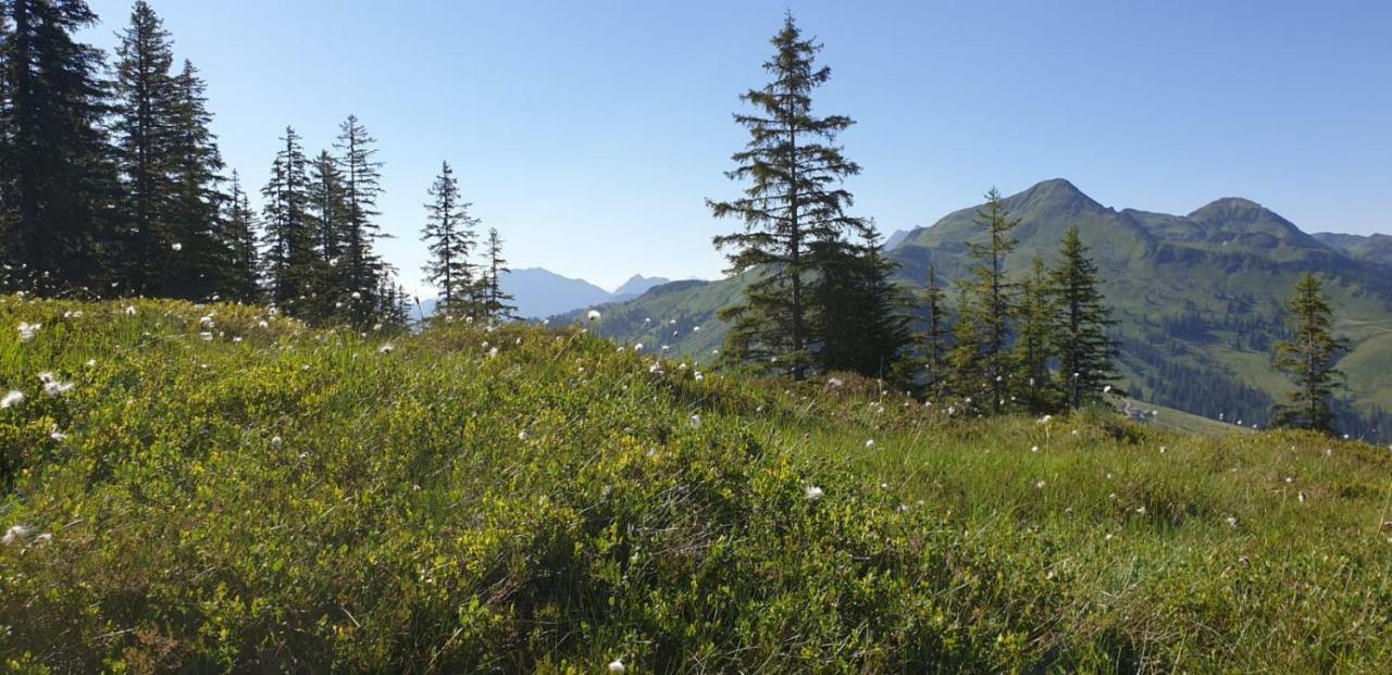Pension Laerchenbrunn Westendorf Luaran gambar